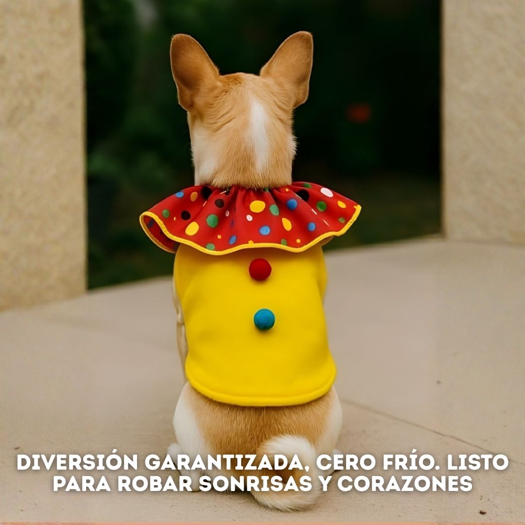 Busos Disfraz 'Piel de Conejo' para Perros: ¡Extra Suaves y Calientitos! Precio de acuerdo a la talla