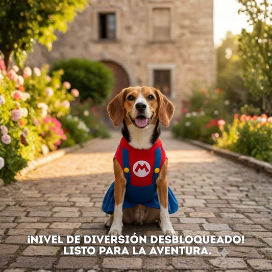 Disfraces de Lujo para Perros: ¡Confort, Estilo y Cero Pelos! (Tallas S-4XL) Precio de acuerdo a la talla