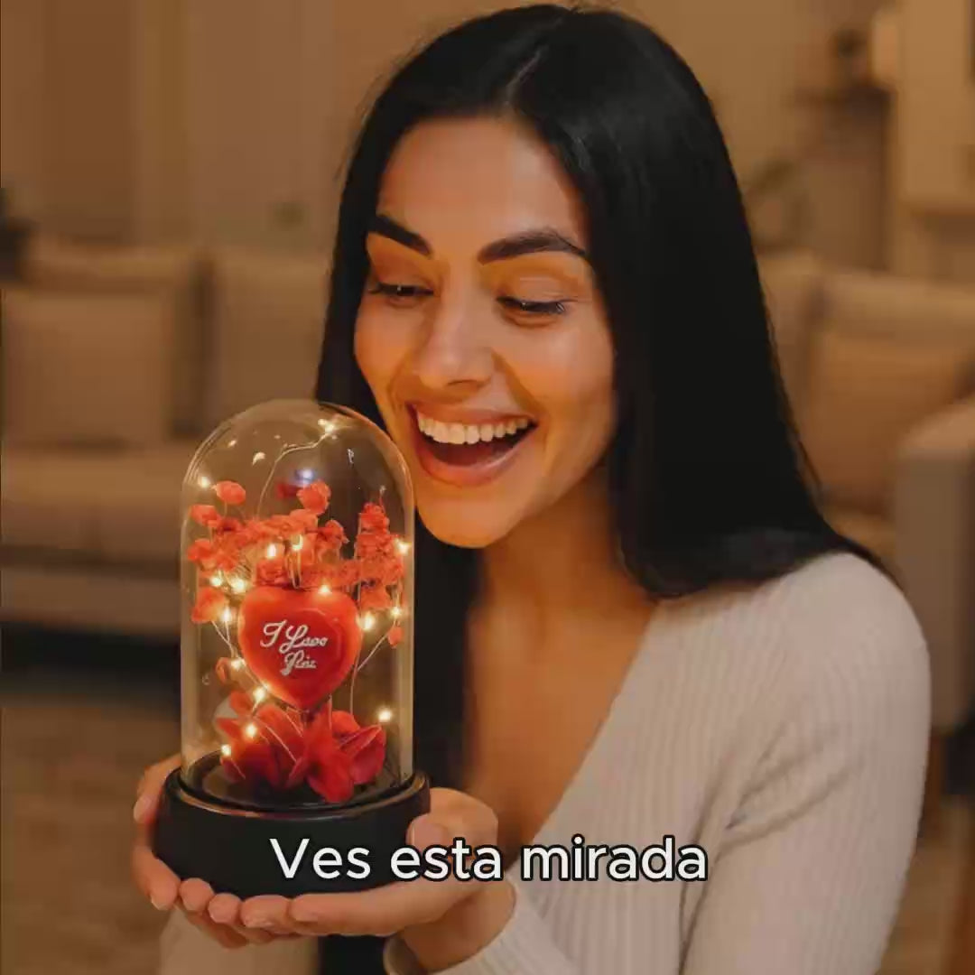Cargar video: 